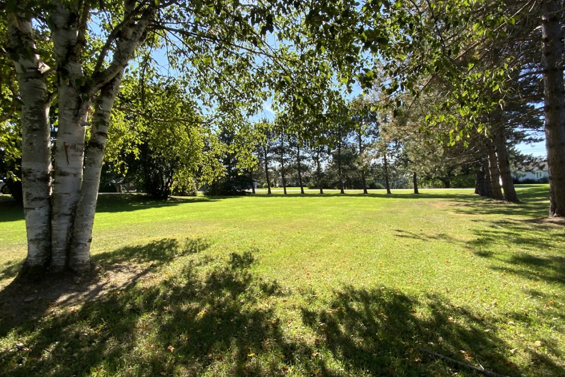 St-Basile, N.B. E7C 2E4, ,Residential,For sale,1394