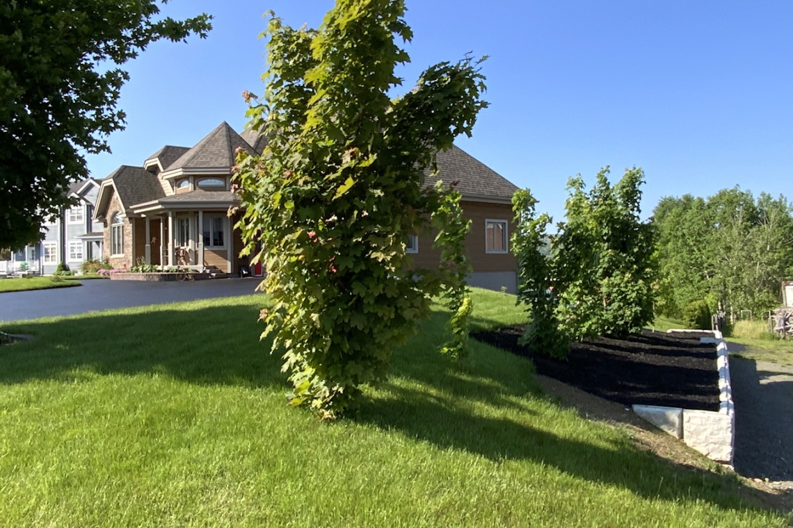 St-Basile, N.B. D7C 2E1, ,Résidentiel,À vendre,1413
