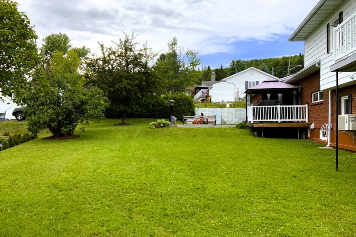 Edmundston, (N.-B.) E3V 1P5, ,Résidentiel,À vendre,1421