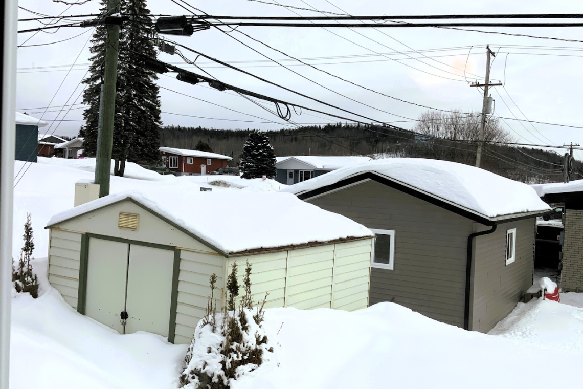 Edmundston, (N.-B.) E3V 3J6, ,Résidentiel,À vendre,1427