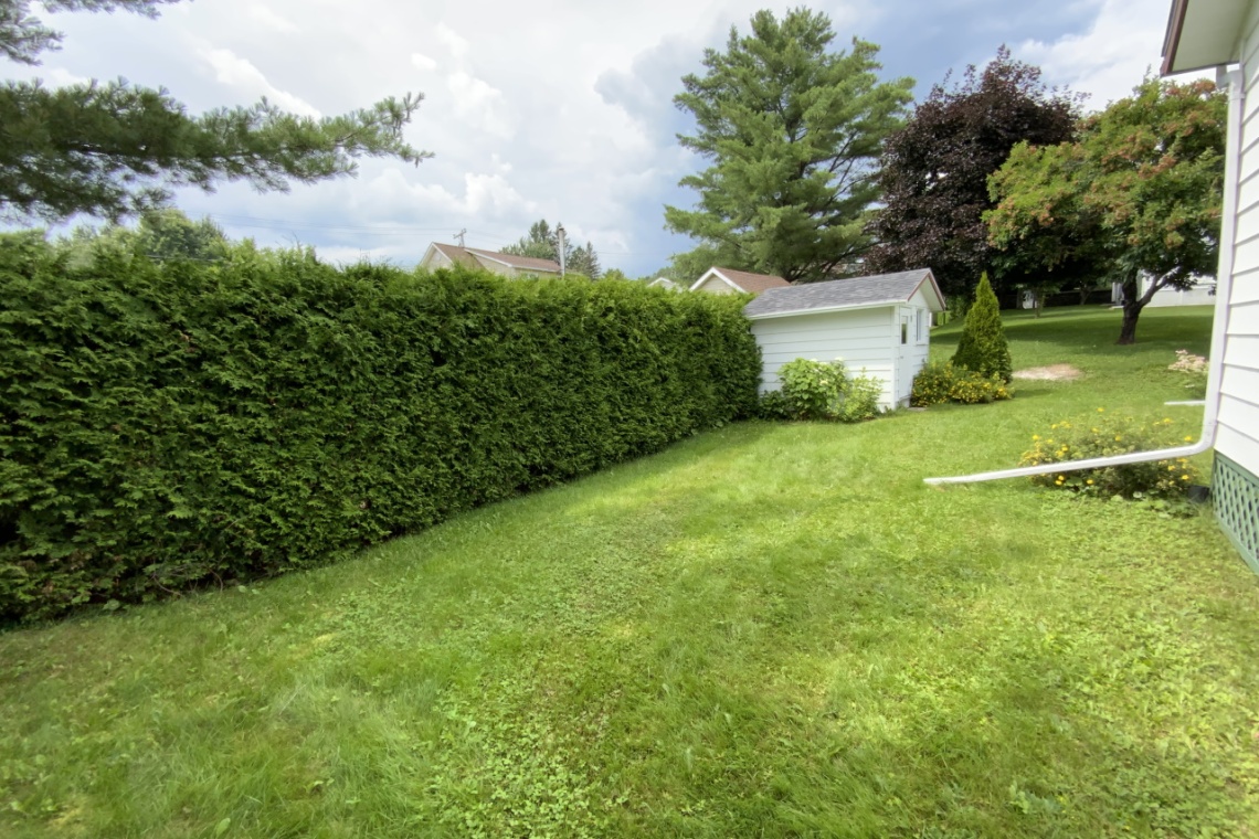 Edmundston, (N.-B.) E3V 1P5, ,Résidentiel,À vendre,1428