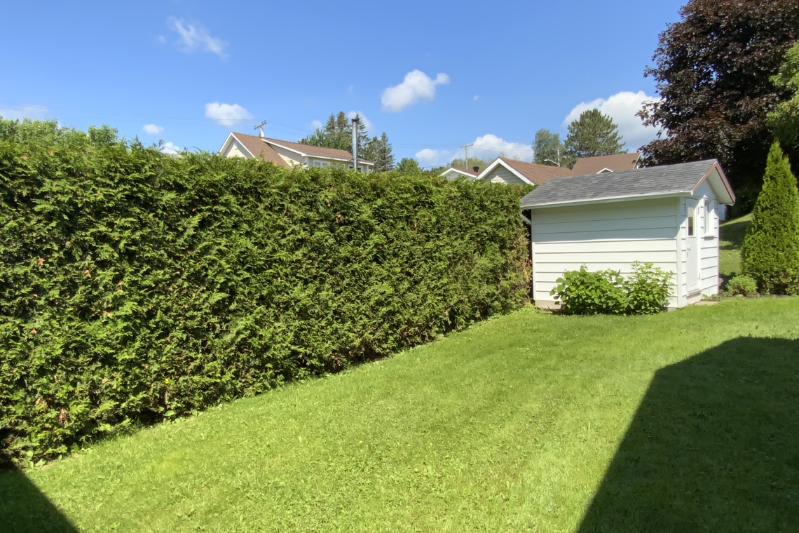 Edmundston, (N.-B.) E3V 1P5, ,Résidentiel,À vendre,1428