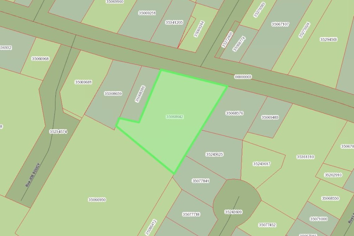St-Basile, (N.-B.) E7C 1H3, ,Résidentiel,À vendre,1431