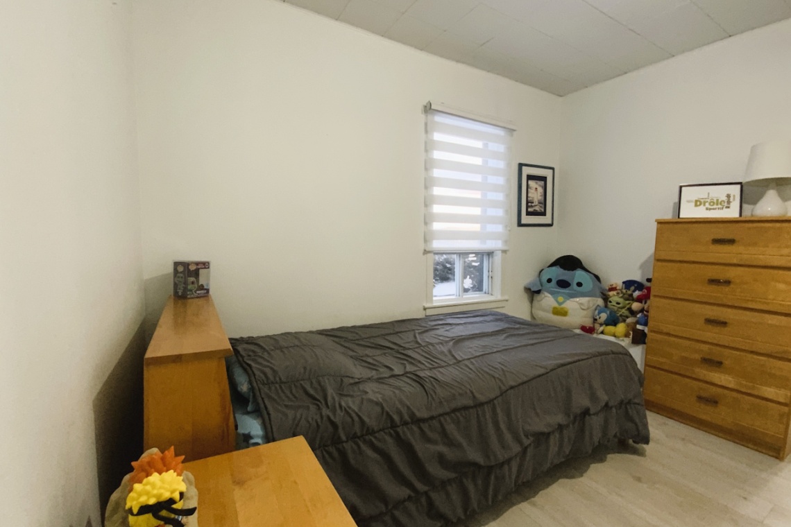 St-Basile, (N.-B.) E7C 1H3, ,Résidentiel,À vendre,1431
