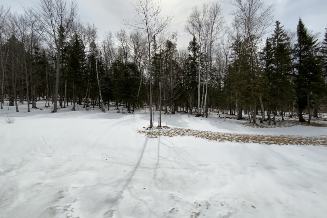 Edmundston, (N.-B.) E3V 0E2, ,Résidentiel,À vendre,1441