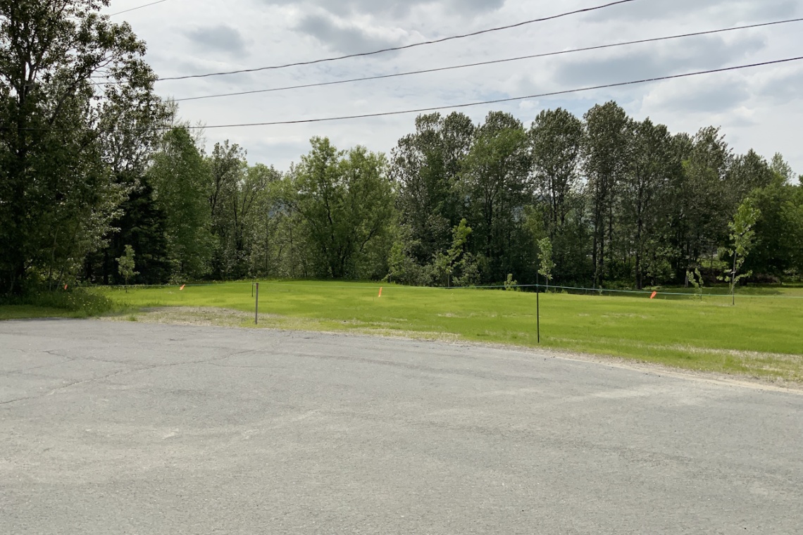 St-Jacques, (N.-B.) E7B 1E8, ,Terrain vacant,À vendre,1458