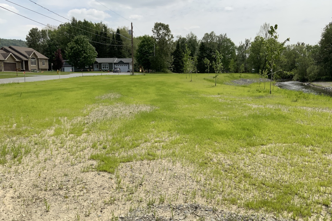 St-Jacques, (N.-B.) E7B 1E8, ,Terrain vacant,À vendre,1458