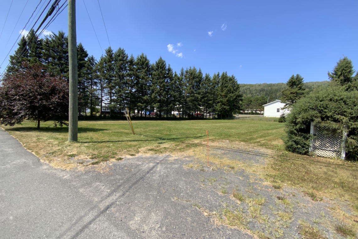 St-Basile, (N.-B.) E7C 0B2, ,Terrain vacant,À vendre,1479
