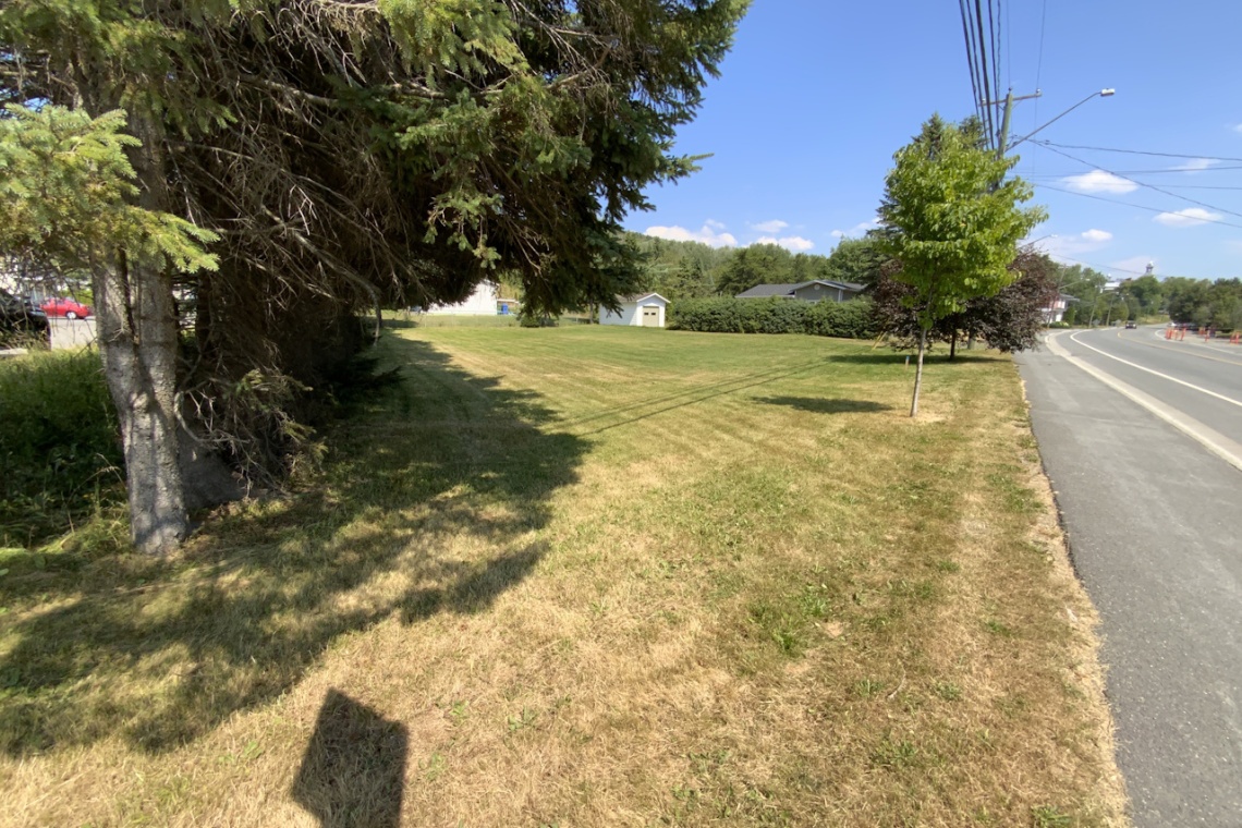 St-Basile, (N.-B.) E7C 0B2, ,Terrain vacant,À vendre,1479