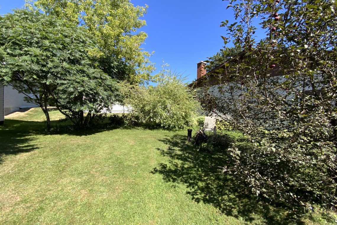 St-Basile, (N.-B.) E7C 1H3, ,Résidentiel,À vendre,1480