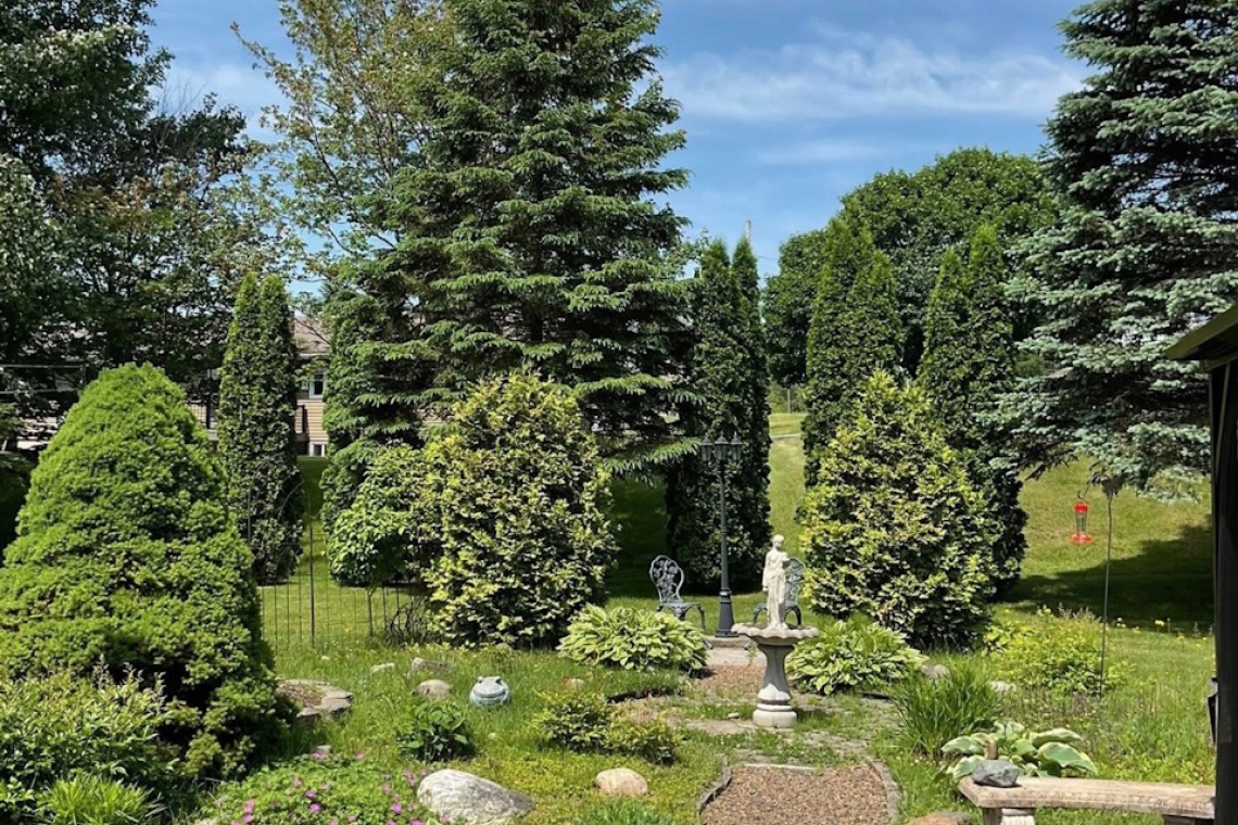 St-Basile, (N.-B.) E7C 1R4, ,Résidentiel,À vendre,1515