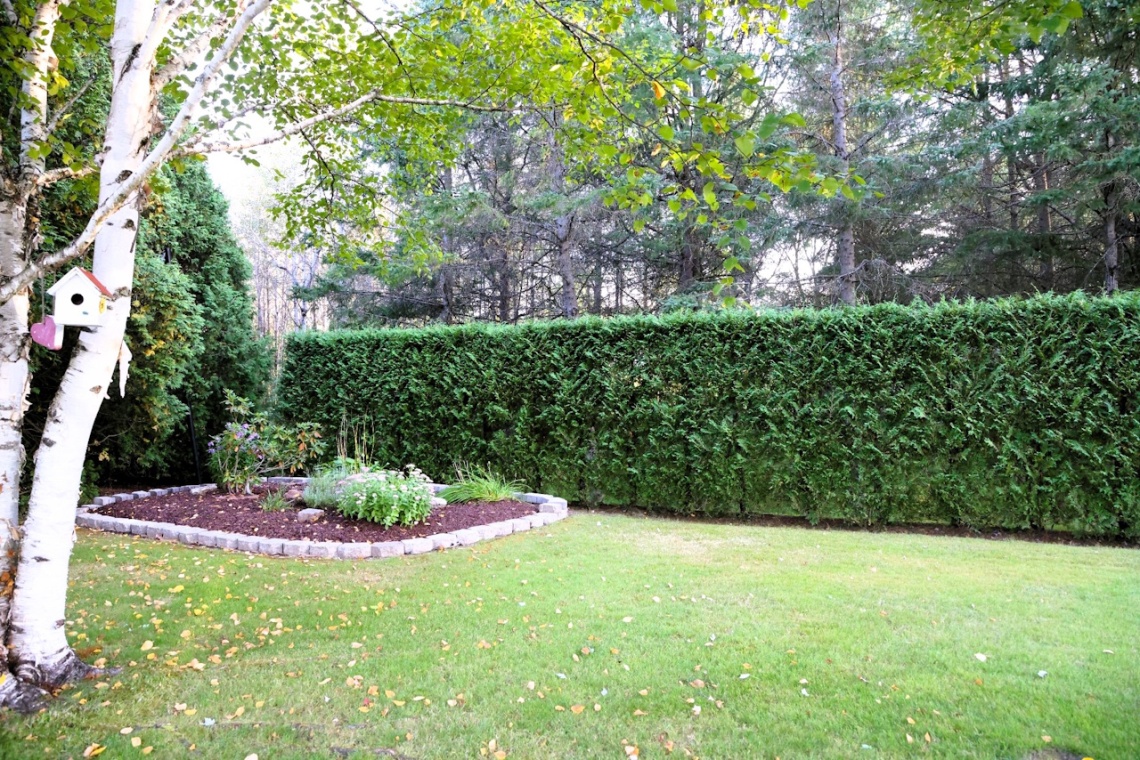 St-Jacques, (N.-B.) E7B 1L6, ,Résidentiel,À vendre,1527