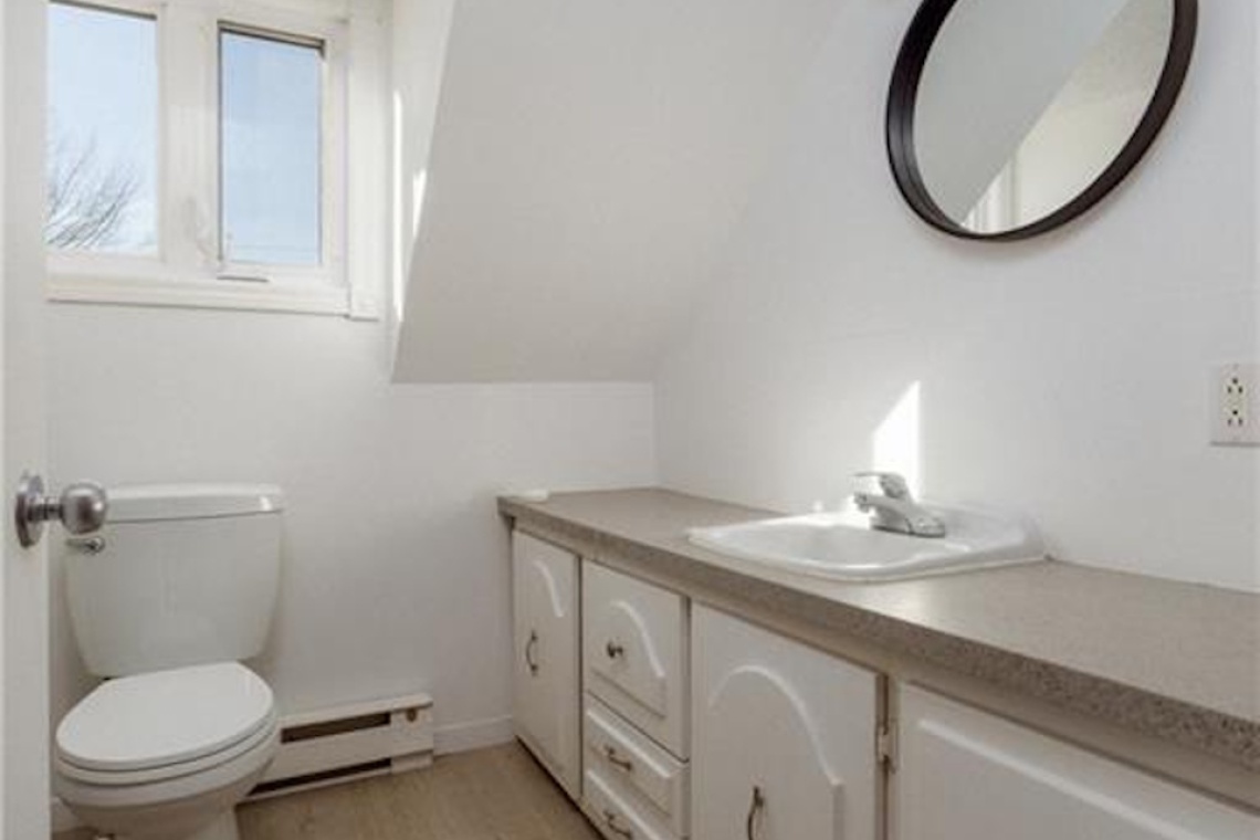 St-Léonard, (N.-B.) E7E 1Z8, ,Résidentiel,À vendre,1531