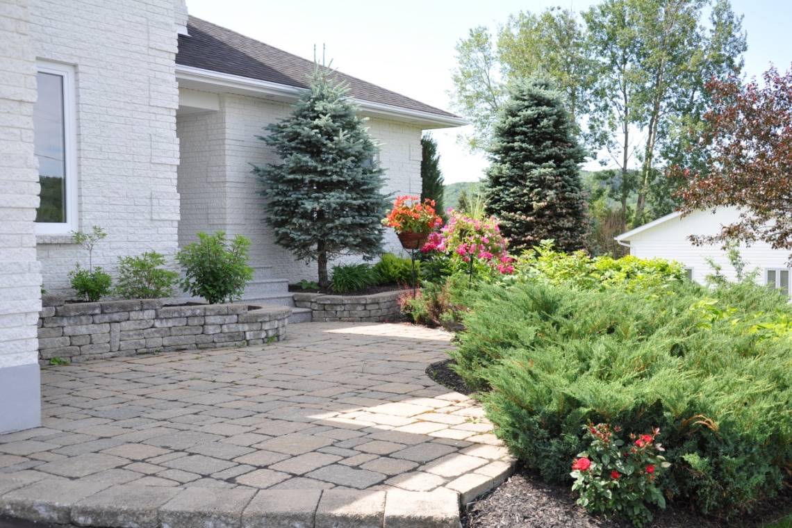 Edmundston, (N.-B.) E3V 4A2, ,Résidentiel,À vendre,1225
