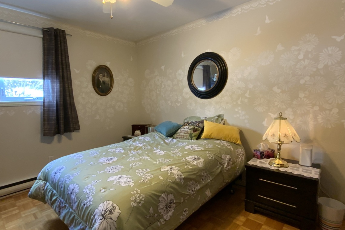 St-Jacques, (N.-B.) E7B 1N9, ,Résidentiel,À vendre,1226