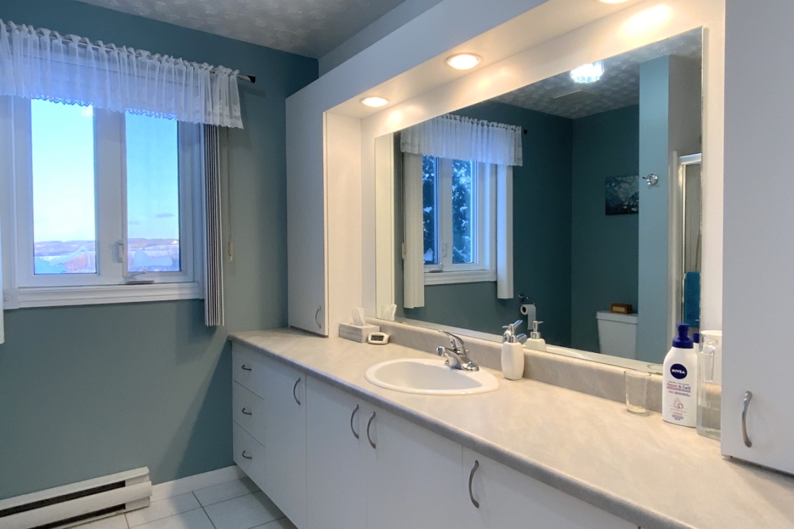 Ste-Anne-de-Madawaska, N.B. E7E 1T1, ,Residential,For sale,1229