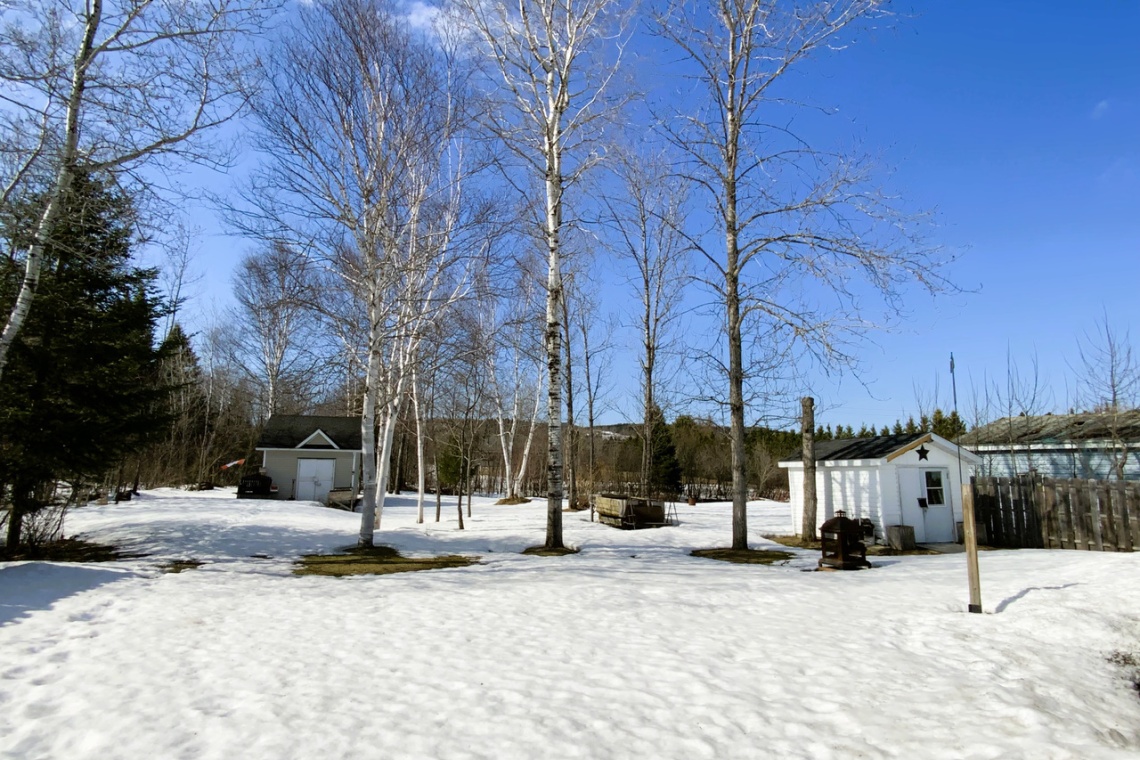 Clair, N.B. E7A 2G3, ,Résidentiel,À vendre,1254
