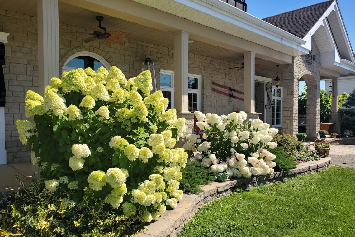 Ste-Anne-de-Madawaska, (N.-B.) E7E 1B1, ,Résidentiel,À vendre,1300