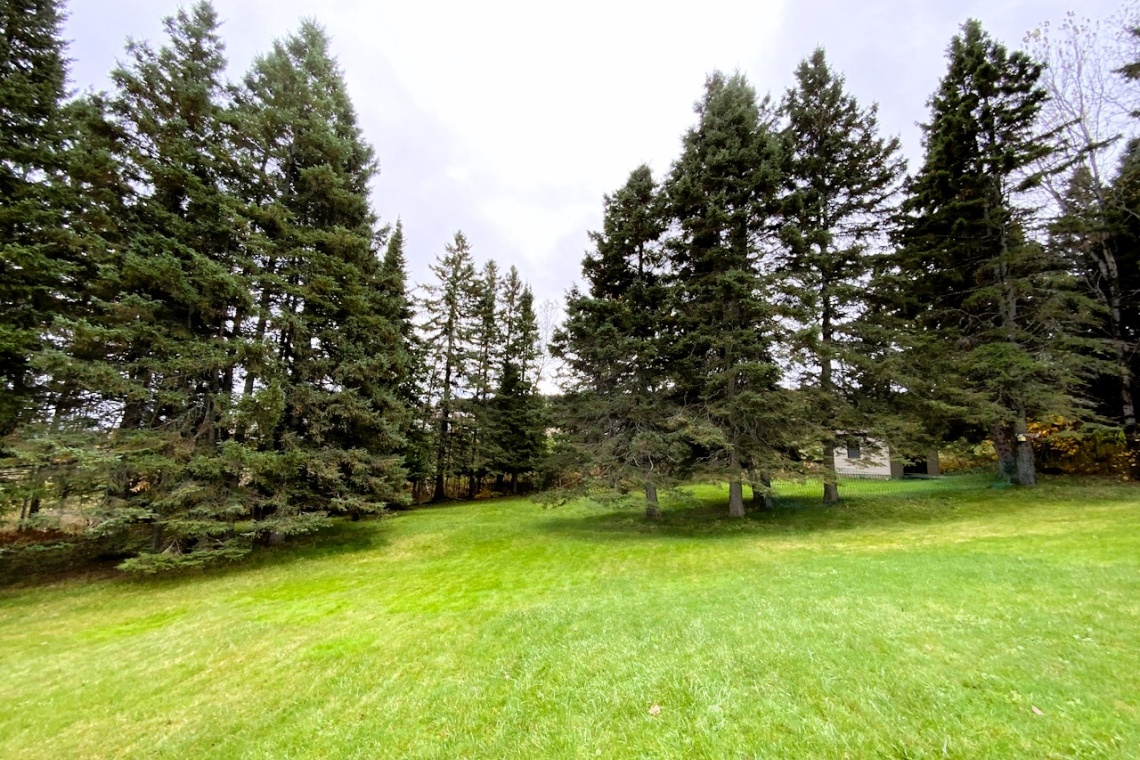 Edmundston, (N.-B.) E3V 4K1, ,Résidentiel,À vendre,1315