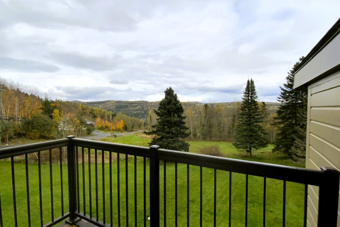 Edmundston, (N.-B.) E3V 4K1, ,Résidentiel,À vendre,1315