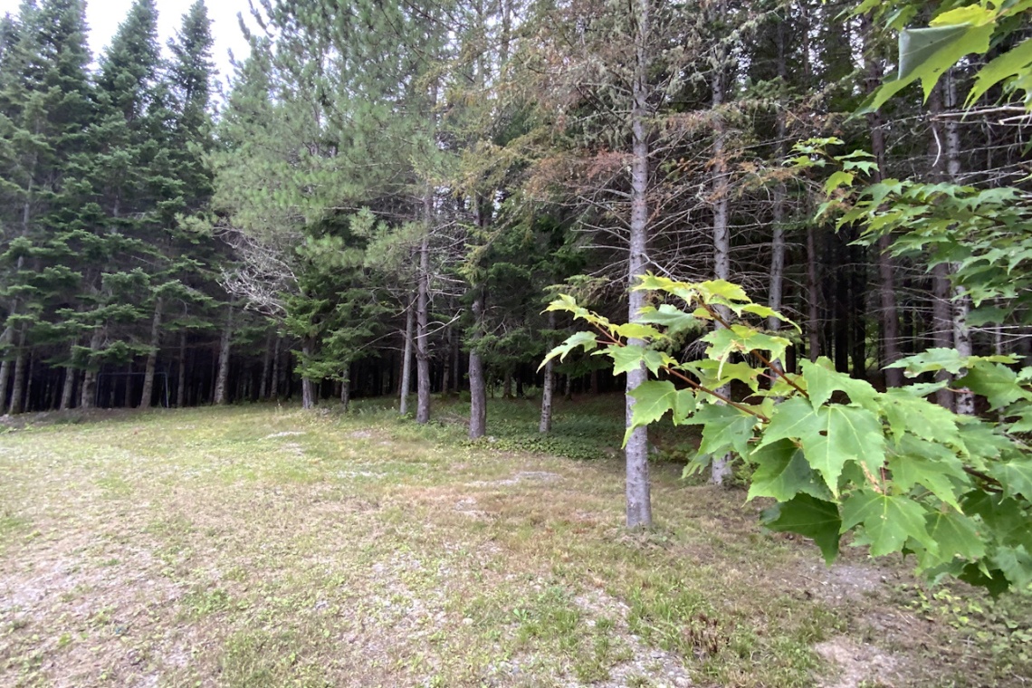 St-Joseph, N.B. E7B 2L7, ,Résidentiel,À vendre,1387